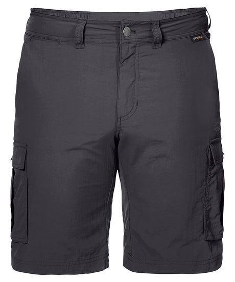 Canyon Cargo Shorts - Asphalt