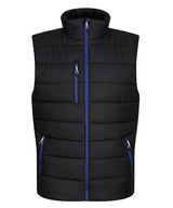 Navigate thermal bodywarmer - Black/New Royal