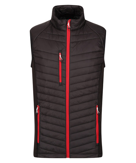 Navigate hybrid bodywarmer - Black/Classic Red