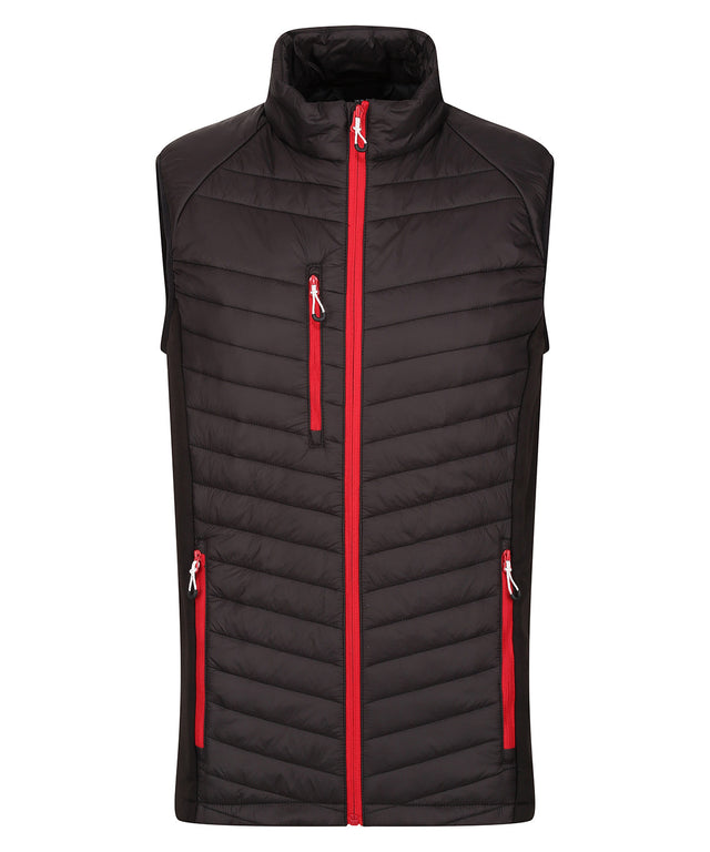 Navigate hybrid bodywarmer - Black/Classic Red