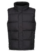 Northdale insulated bodywarmer - Black