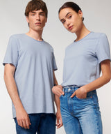 Imaginer, The unisex raw edge t-shirt (STTU647)